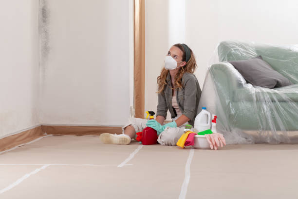 Reliable Mold Remediation contractor in Medina, MN by WQB Mold Removal